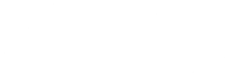 The Future